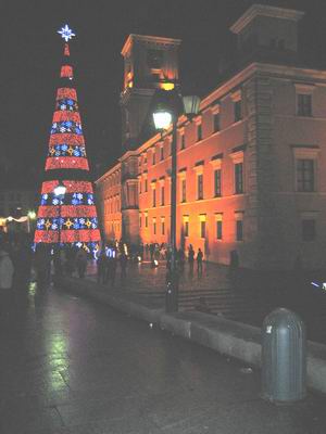 Albero di natale di notte