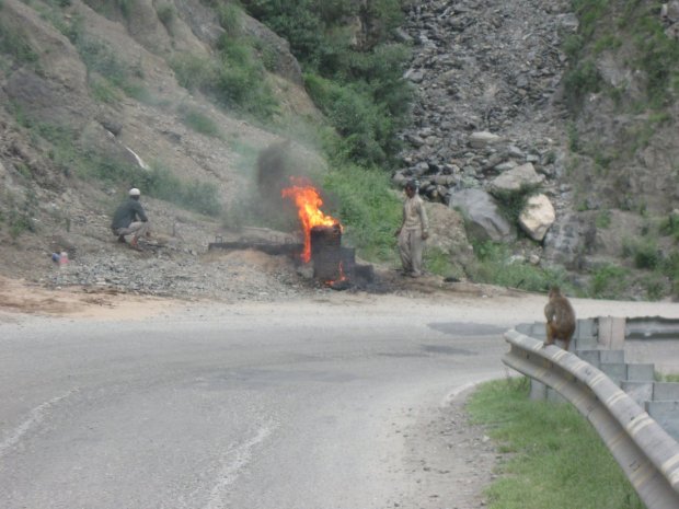 lavori e macachi