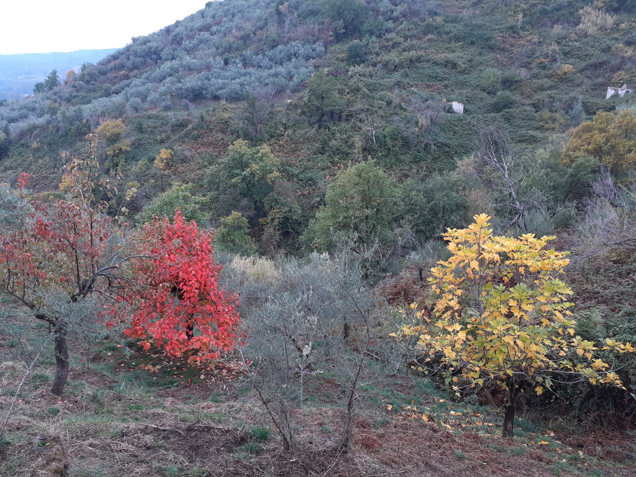 autunno